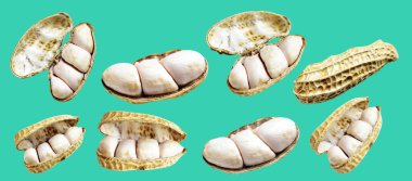 Kesme yolu ile izole edilmiş fıstıklar, yeşil arka planda gölge yok, yemek malzemeleri, sağlıklı yiyecekler.