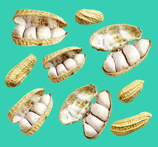 Kesme yolu ile izole edilmiş fıstıklar, yeşil arka planda gölge yok, yemek malzemeleri, sağlıklı yiyecekler.