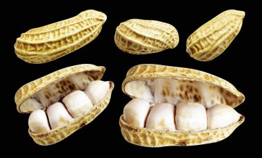 Kesme yolu ile izole edilmiş fıstıklar, siyah arka planda gölge yok, yemek malzemeleri, sağlıklı yiyecekler.