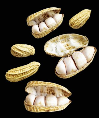 Kesme yolu ile izole edilmiş fıstıklar, siyah arka planda gölge yok, yemek malzemeleri, sağlıklı yiyecekler.