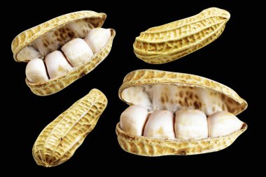 Kesme yolu ile izole edilmiş fıstıklar, siyah arka planda gölge yok, yemek malzemeleri, sağlıklı yiyecekler.