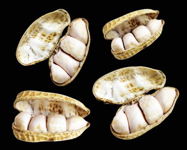 Kesme yolu ile izole edilmiş fıstıklar, siyah arka planda gölge yok, yemek malzemeleri, sağlıklı yiyecekler.