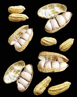 Kesme yolu ile izole edilmiş fıstıklar, siyah arka planda gölge yok, yemek malzemeleri, sağlıklı yiyecekler.