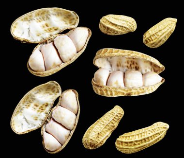 Kesme yolu ile izole edilmiş fıstıklar, siyah arka planda gölge yok, yemek malzemeleri, sağlıklı yiyecekler.