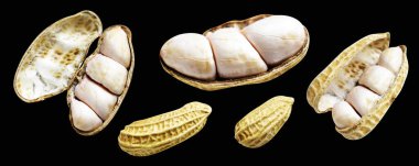 Kesme yolu ile izole edilmiş fıstıklar, siyah arka planda gölge yok, yemek malzemeleri, sağlıklı yiyecekler.