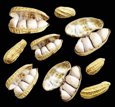 Kesme yolu ile izole edilmiş fıstıklar, siyah arka planda gölge yok, yemek malzemeleri, sağlıklı yiyecekler.