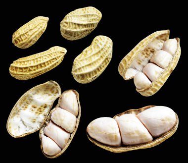 Kesme yolu ile izole edilmiş fıstıklar, siyah arka planda gölge yok, yemek malzemeleri, sağlıklı yiyecekler.