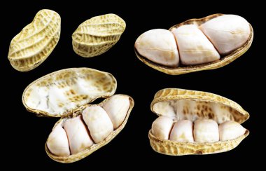 Kesme yolu ile izole edilmiş fıstıklar, siyah arka planda gölge yok, yemek malzemeleri, sağlıklı yiyecekler.