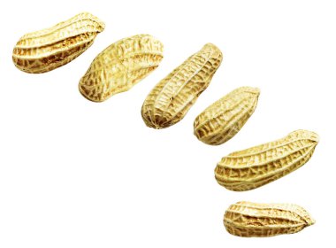 Kesme yolu ile izole edilmiş fıstıklar, beyaz arka planda gölge yok, yemek malzemeleri, sağlıklı yiyecekler.