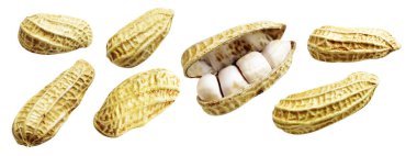 Kesme yolu ile izole edilmiş fıstıklar, beyaz arka planda gölge yok, yemek malzemeleri, sağlıklı yiyecekler.