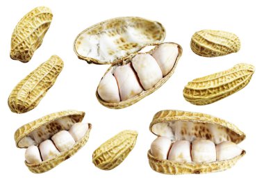 Kesme yolu ile izole edilmiş fıstıklar, beyaz arka planda gölge yok, yemek malzemeleri, sağlıklı yiyecekler.