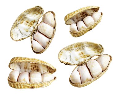 Kesme yolu ile izole edilmiş fıstıklar, beyaz arka planda gölge yok, yemek malzemeleri, sağlıklı yiyecekler.