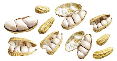 Kesme yolu ile izole edilmiş fıstıklar, beyaz arka planda gölge yok, yemek malzemeleri, sağlıklı yiyecekler.