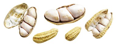 Kesme yolu ile izole edilmiş fıstıklar, beyaz arka planda gölge yok, yemek malzemeleri, sağlıklı yiyecekler.