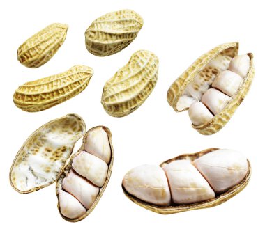 Kesme yolu ile izole edilmiş fıstıklar, beyaz arka planda gölge yok, yemek malzemeleri, sağlıklı yiyecekler.