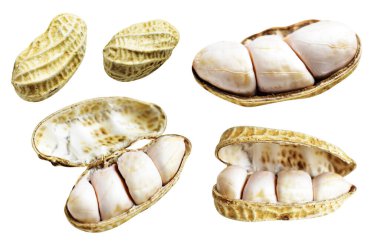 Kesme yolu ile izole edilmiş fıstıklar, beyaz arka planda gölge yok, yemek malzemeleri, sağlıklı yiyecekler.