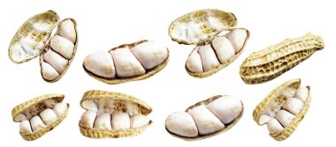 Kesme yolu ile izole edilmiş fıstıklar, beyaz arka planda gölge yok, yemek malzemeleri, sağlıklı yiyecekler.