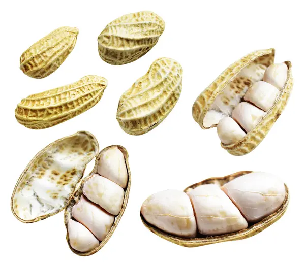 Kesme yolu ile izole edilmiş fıstıklar, beyaz arka planda gölge yok, yemek malzemeleri, sağlıklı yiyecekler.