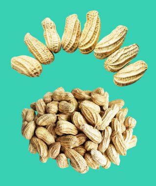 Kesme yolu ile izole edilmiş fıstıklar, yeşil arka planda gölge yok, yemek malzemeleri, sağlıklı yiyecekler.