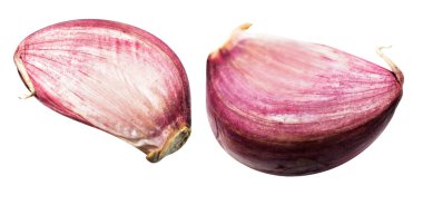 Sarımsak karanfili kırpma yolu ile izole edilmiş, beyaz arka planda gölge yok, malzeme pişirme, mor sarımsak