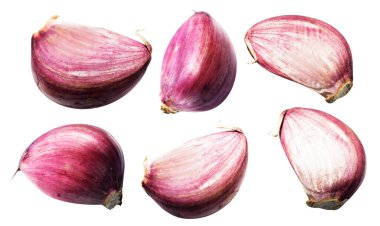 Sarımsak karanfili kırpma yolu ile izole edilmiş, beyaz arka planda gölge yok, malzeme pişirme, mor sarımsak