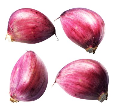 Sarımsak karanfili kırpma yolu ile izole edilmiş, beyaz arka planda gölge yok, malzeme pişirme, mor sarımsak