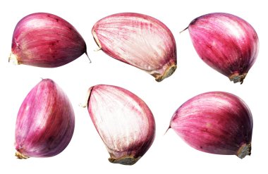 Sarımsak karanfili kırpma yolu ile izole edilmiş, beyaz arka planda gölge yok, malzeme pişirme, mor sarımsak