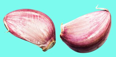 Sarımsak karanfili kırpma yolu ile izole edilmiş, yeşil arka planda gölge yok, malzeme pişirme, mor sarımsak