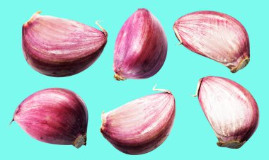 Sarımsak karanfili kırpma yolu ile izole edilmiş, yeşil arka planda gölge yok, malzeme pişirme, mor sarımsak