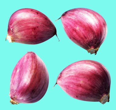 Sarımsak karanfili kırpma yolu ile izole edilmiş, yeşil arka planda gölge yok, malzeme pişirme, mor sarımsak