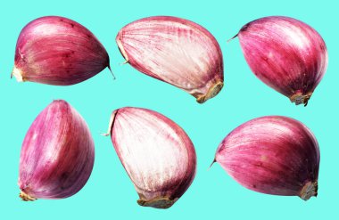 Sarımsak karanfili kırpma yolu ile izole edilmiş, yeşil arka planda gölge yok, malzeme pişirme, mor sarımsak