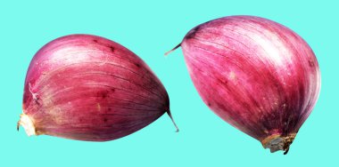 Sarımsak karanfili kırpma yolu ile izole edilmiş, yeşil arka planda gölge yok, malzeme pişirme, mor sarımsak