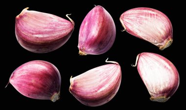 Sarımsak karanfili kırpma yolu ile izole edilmiş, siyah arka planda gölge yok, malzeme pişirme, mor sarımsak