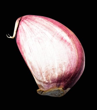 Sarımsak karanfili kırpma yolu ile izole edilmiş, siyah arka planda gölge yok, malzeme pişirme, mor sarımsak