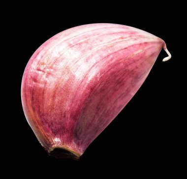 Sarımsak karanfili kırpma yolu ile izole edilmiş, siyah arka planda gölge yok, malzeme pişirme, mor sarımsak