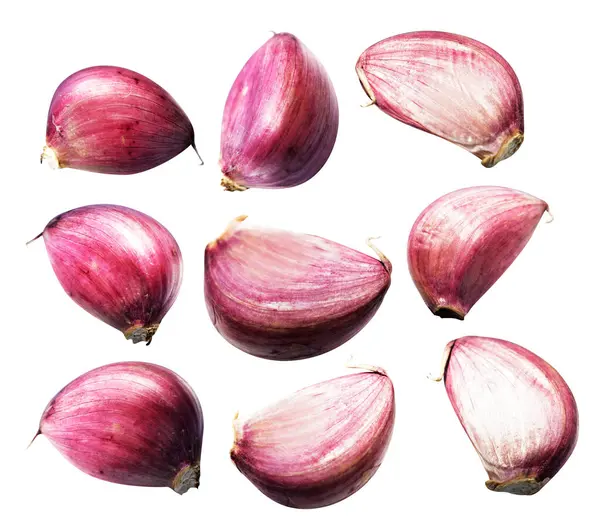 Sarımsak karanfili kırpma yolu ile izole edilmiş, beyaz arka planda gölge yok, malzeme pişirme, mor sarımsak
