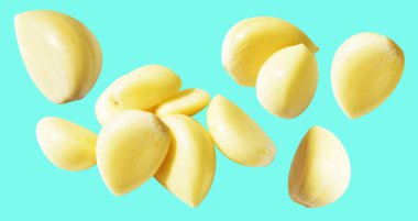 Taze soyulmuş sarımsak eldivenleri, kırpma yolu ile izole edilmiş, yeşil arka planda gölge yok.