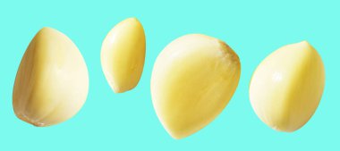 Taze soyulmuş sarımsak eldivenleri, kırpma yolu ile izole edilmiş, yeşil arka planda gölge yok.