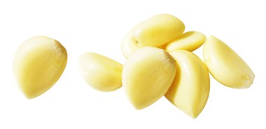 Taze soyulmuş sarımsak eldivenleri kırpma yolu ile izole edilmiş, beyaz arka planda gölge yok.