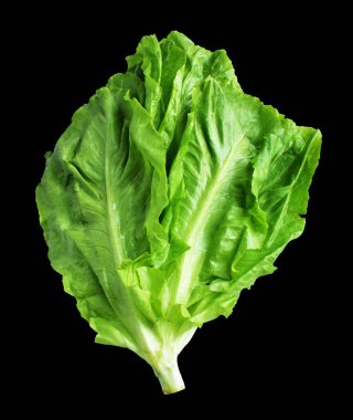 Yeşil marul salatası kırpma yolu ile izole edilmiş siyah arka planda gölge yok, taze sebzeler