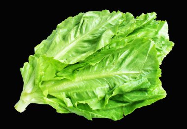 Yeşil marul salatası kırpma yolu ile izole edilmiş siyah arka planda gölge yok, taze sebzeler