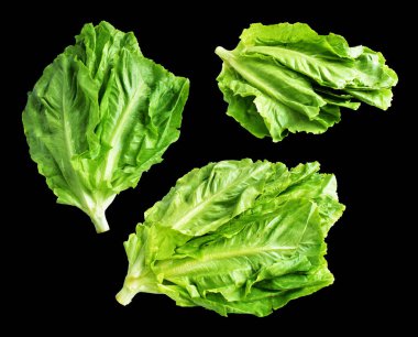 Yeşil marul salatası kırpma yolu ile izole edilmiş siyah arka planda gölge yok, taze sebzeler