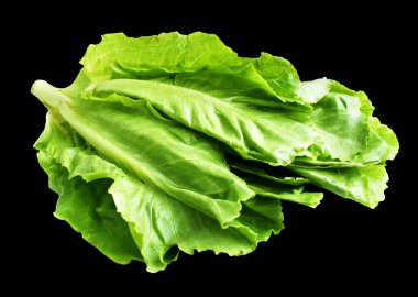 Yeşil marul salatası kırpma yolu ile izole edilmiş siyah arka planda gölge yok, taze sebzeler