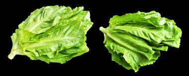 Yeşil marul salatası kırpma yolu ile izole edilmiş siyah arka planda gölge yok, taze sebzeler