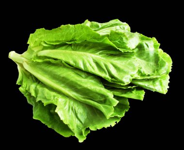 Yeşil marul salatası kırpma yolu ile izole edilmiş siyah arka planda gölge yok, taze sebzeler