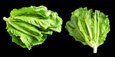 Yeşil marul salatası kırpma yolu ile izole edilmiş siyah arka planda gölge yok, taze sebzeler