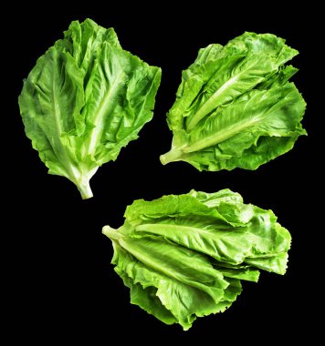 Yeşil marul salatası kırpma yolu ile izole edilmiş siyah arka planda gölge yok, taze sebzeler