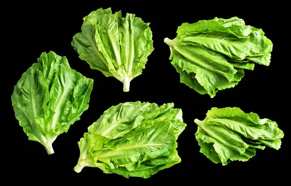 Yeşil marul salatası kırpma yolu ile izole edilmiş siyah arka planda gölge yok, taze sebzeler