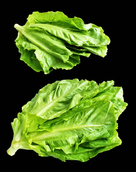 Yeşil marul salatası kırpma yolu ile izole edilmiş siyah arka planda gölge yok, taze sebzeler