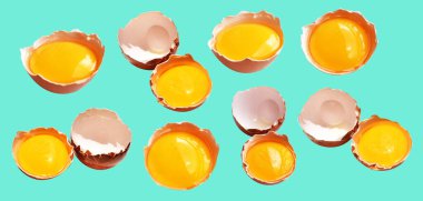 Kırpma yolu olan yumurta sarıları, nane arkaplanda gölge yok, gerçek kahverengi yarım tavuk yumurtası.